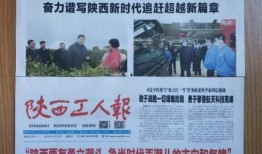 陕西一套在线观看,在线观看一网打尽