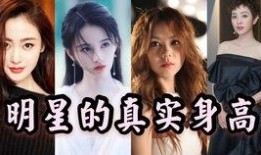 各种顶流明星爆料视频合集,独家爆料视频合集大揭秘