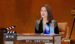 郑州爆料王小磊视频播放,王小磊视频引发热议，揭秘背后真相