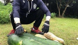 邯郸肥乡新瓜最新爆料