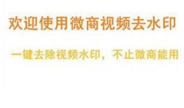 白姓爆料快讯最新版视频,揭秘最新版视频背后的惊人真相