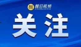 佛山电视台新闻爆料地址,某地涉嫌违规操作，详情即将揭晓
