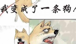 吃瓜很香小说免费阅读,揭秘娱乐圈背后的甜蜜瓜田