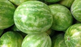 十堰网红吃瓜群微信