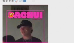 大锤爆料邓姓艺人视频大全,邓姓艺人视频大全曝光，精彩瞬间一网打尽