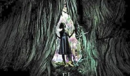 潘神的迷宫在线观看,探寻奇幻迷宫的神秘之旅