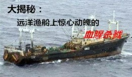 出海船员爆料视频网,揭秘出海背后的辛酸与挑战