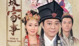 东坡家事在线观看,穿越时空的家族传奇在线观看全记录