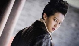 电视剧雪海全集在线观看,探寻神秘雪域的传奇之旅