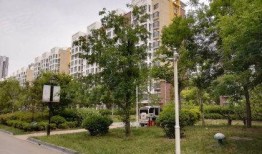 凤凰城房价最新爆料,最新爆料揭示惊人涨幅！”