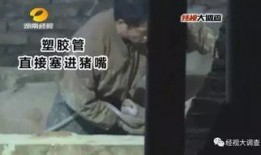 猪灌泥浆爆料视频大全图片,揭秘网络爆料的真相与争议
