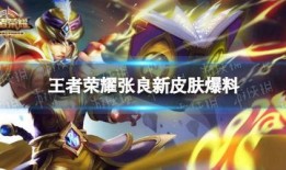 王者新皮肤大爆料最新,炫酷造型与独特故事背景一网打尽