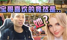 央视爆料宝哥视频在线观看,揭秘背后真相