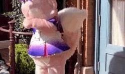 爆料偷拍女明星视频网站,隐私边界何在？