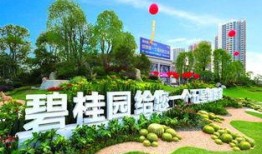 园洲碧桂园爆料最新消息,揭秘项目进展与亮点