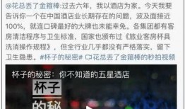 德州饭店爆料事件视频大全,揭露行业黑幕与真相