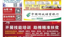 2011汕尾新闻爆料,揭秘当地重大事件真相