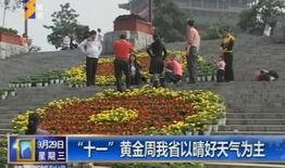 陕西最近的新爆料新闻,揭秘某重大事件背后真相