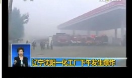 沈阳爆料事件最新进展情况,真相逐步浮出水面