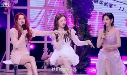 刘些宁首唱会爆料视频,幕后故事与音乐旅程