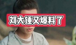 刘大锤最新爆料烽火流金,刘大锤揭秘传奇背后的故事