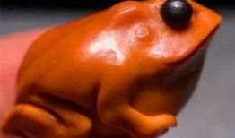 青岛爆料核雕事件视频,揭秘核雕艺术品背后的惊人真相