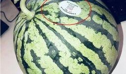 吃瓜网红图片头像高清图,揭秘吃瓜网红高清头像背后的魅力