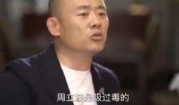 黄毅清爆料的周立波视频,真相与争议再起