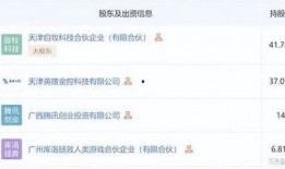 鸣潮最新消息爆料视频播放,游戏画面与玩法大揭秘