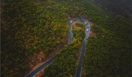 竹林小区新闻爆料最新情况,最新进展及影响揭秘