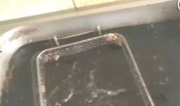 食品小哥爆料视频播放在线观看,在线观看揭秘幕后真相