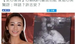 徐州二姐爆料视频,揭秘背后惊人真相