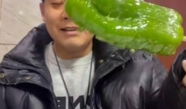 廊坊吃瓜事件网红,网红引爆网络热议