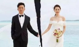 王宝强离婚案最新爆料,最新爆料揭露惊人内幕