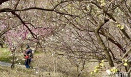 十梅庵今日最新爆料,今日最新爆料揭示惊人内幕