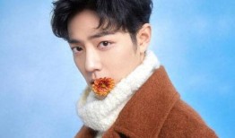 肖战最新真实爆料,娱乐圈背后的真实故事