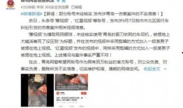 孝感生活爆料事件视频,视频揭露惊人真相，引发网友热议