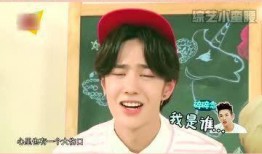 王姓明星爆料大全最新,娱乐圈幕后真相大揭秘