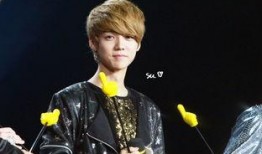 exo成员爆料鹿晗视频,独家视频爆料背后的故事