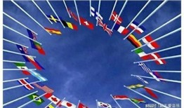 太海爆料最新消息新闻,最新热点新闻深度解析